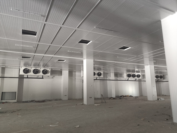 存200噸貨需要多大面積冷庫?造價(jià)多少?