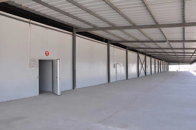 金針菇冷庫(kù)儲(chǔ)存技術(shù) 金針菇冷庫(kù)建造要求